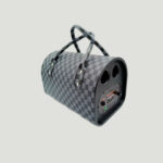 Wireless Speaker Bag