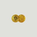 Bitcoin Necklace & Coin